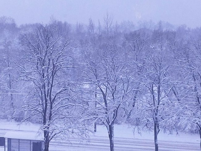 Соседние регионы помогают новгородским энергетикам восстановить свет - «Новости»