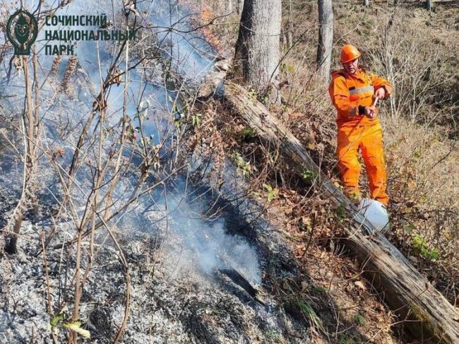 Пожар на горе Кума в Сочи потушен - «Новости»