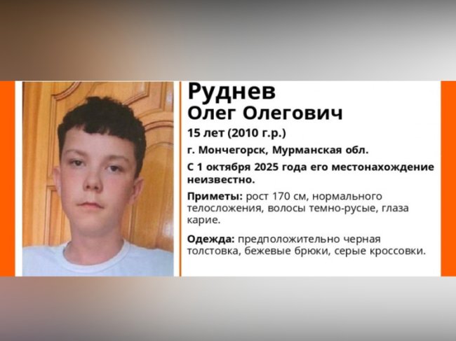 К поискам пропавшего подростка из Мурманской области присоединились карельские поисковики - «Новости»