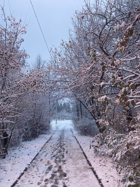 Синоптик сообщил, когда наступит метеорологическая зима в Центральной России - «Новости»
