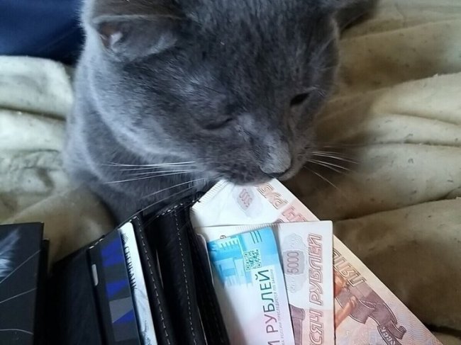 Средняя зарплата в Калининградской области выросла до 78 тысяч - «Новости»