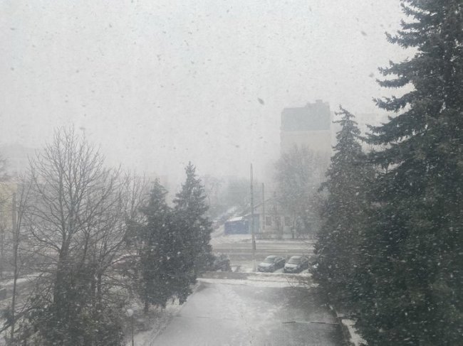 Белгородцев предупредили о метели и порывах до 17 м/с - «Новости»