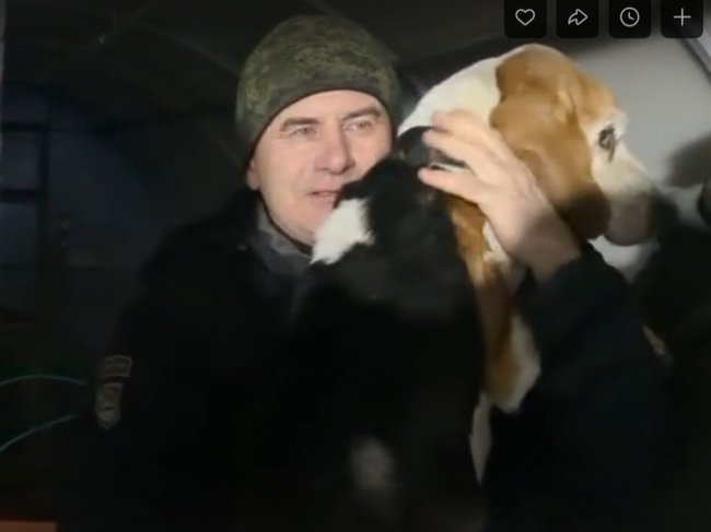 Ярославский охотник нашел свою собаку, которая скиталась почти два месяца - «Новости»