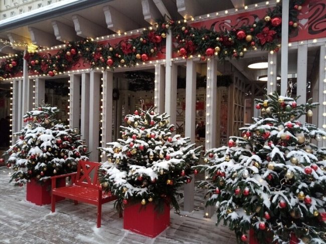 Как плавно вернуться к рабочим будням после новогодних каникул: советы для жителей Запорожской области - «Новости»