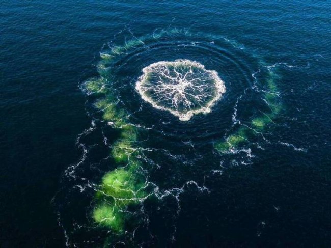 Суд ФРГ признал Украину заказчиком подрыва "Северных потоков" - «Новости»