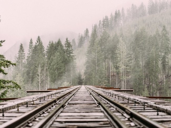В Вязниковском районе мужчину затянуло под колеса поезда - «Новости»