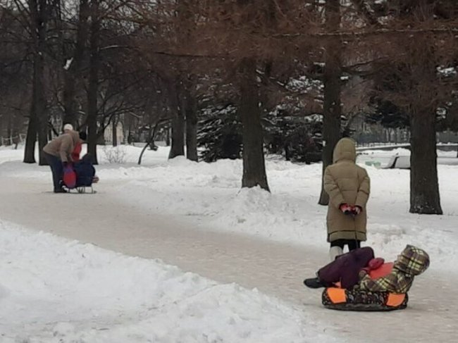 Бум на прокат санок для новорожденных произошел зимой в Василеостровском районе - «Новости»