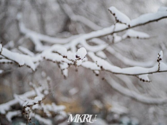 Циклон «Валли» парализовал движение на выездах из Москвы - «Новости»