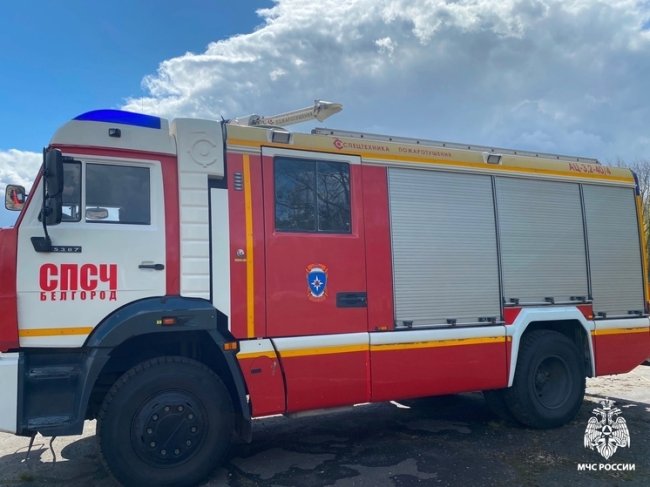 В Белгороде из-за проблем с электросетью загорелось дерево - «Новости»