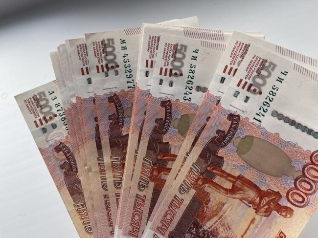 Пензенцы вложили в программу долгосрочных сбережений почти 7 млрд рублей - «Новости»