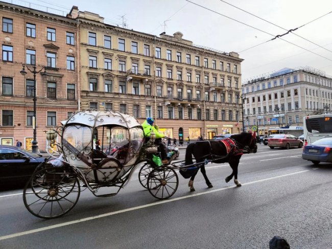 В Петербурге сказочная поездка вернула пассажиров в реальность после столкновения с грузовиком - «Новости»